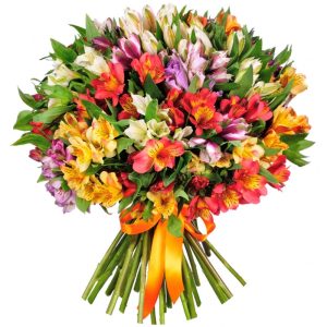 Букет із 35 різнокольорових альстромерій