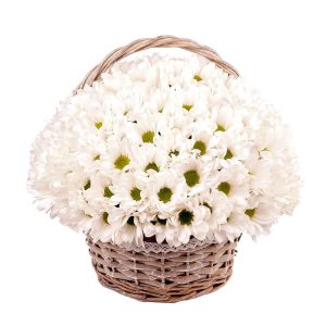 Кошик із 19 хризантем