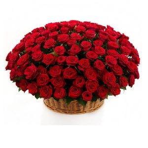 Шикарний кошик із 201 червоної троянди