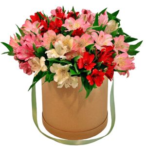 Композиція із 15 різнокольорових альстромерій в коробці