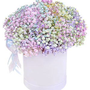 Композиція із кольоровою гіпсофілою в коробці