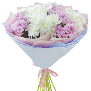 Класичний букет із 11 хризантем "Ніжність"