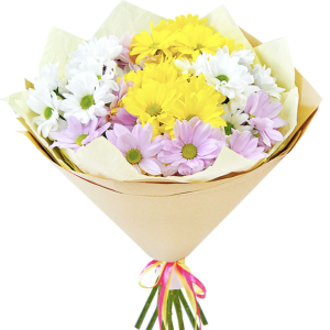 Букет із 5 різнокольорових хризантем