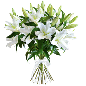 Букет із 11 білих лілій