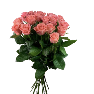 Букет із 19 коралових троянд