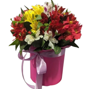 Композиція із 11 альстромерій у коробці