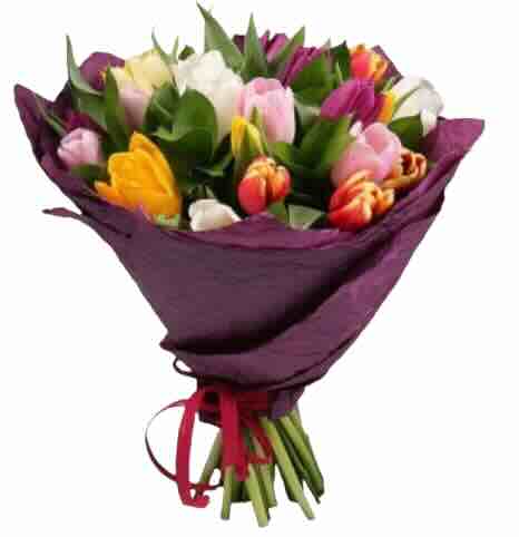 Букет із 19 тюльпанів