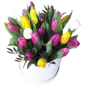 29 різнокольорових тюльпанів в коробці