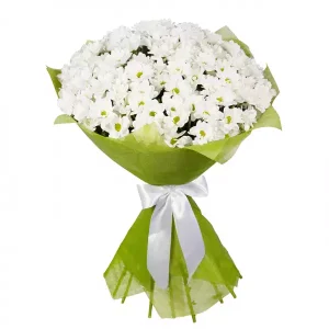 Букет із 11 білих хризантеми