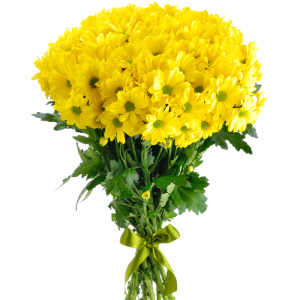 Букет із 9 жовтих хризантем під стрічку