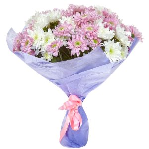 Букет із 7 різнокольорових хризантем