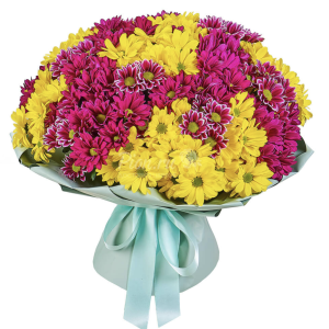 Букет із 25 різнокольорових хризантем