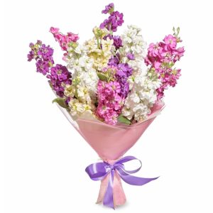 Букет із 15 матіол